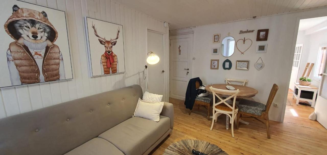 Apartamento Con Encanto Tipico Cereta Centro Puigcerdà Εξωτερικό φωτογραφία